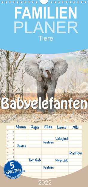 Familienplaner Babyelefanten (Wandkalender 2022 , 21 cm x 45 cm, hoch) von Styppa,  Robert