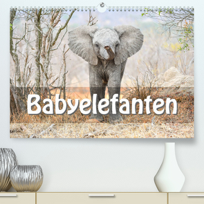 Babyelefanten (Premium, hochwertiger DIN A2 Wandkalender 2022, Kunstdruck in Hochglanz) von Styppa,  Robert
