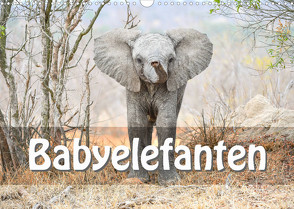 Babyelefanten (Wandkalender 2022 DIN A3 quer) von Styppa,  Robert