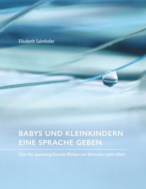 Babys und Kleinkindern eine Sprache geben von Salmhofer,  Elisabeth