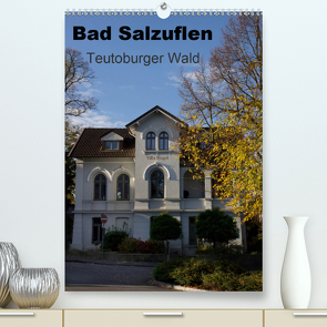 Bad Salzuflen – Teutoburger Wald (Premium, hochwertiger DIN A2 Wandkalender 2021, Kunstdruck in Hochglanz) von Peitz,  Martin