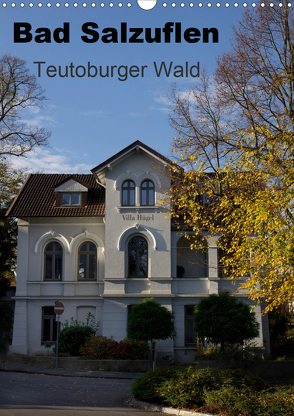 Bad Salzuflen – Teutoburger Wald (Wandkalender 2021 DIN A3 hoch) von Peitz,  Martin