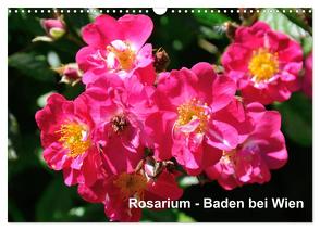 Baden bei Wien – Rosarium (Wandkalender 2024 DIN A3 quer), CALVENDO Monatskalender von J. Strutz,  Rudolf