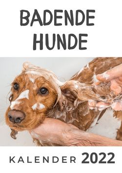 Badende Hunde