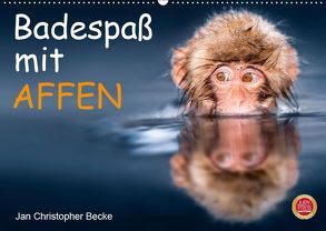 Badespaß mit Affen (Wandkalender 2019 DIN A2 quer) von Christopher Becke,  Jan
