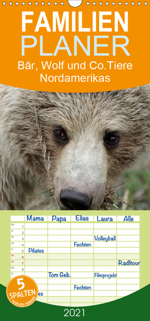 Bär, Wolf und Co – Tiere Nordamerikas – Familienplaner hoch (Wandkalender 2021 , 21 cm x 45 cm, hoch) von Salzmann,  Ursula