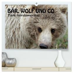 Bär, Wolf und Co – Tiere Nordamerikas (hochwertiger Premium Wandkalender 2024 DIN A2 quer), Kunstdruck in Hochglanz von Salzmann,  Ursula