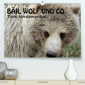 Bär, Wolf und Co – Tiere Nordamerikas (Premium, hochwertiger DIN A2 Wandkalender 2021, Kunstdruck in Hochglanz) von Salzmann,  Ursula