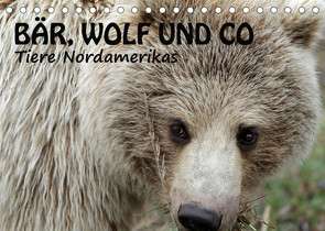 Bär, Wolf und Co – Tiere Nordamerikas (Tischkalender 2022 DIN A5 quer) von Salzmann,  Ursula