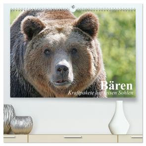 Bären. Kraftpakete auf leisen Sohlen (hochwertiger Premium Wandkalender 2024 DIN A2 quer), Kunstdruck in Hochglanz von Stanzer,  Elisabeth