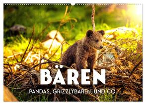 Bären – Pandas, Grizzlybären und Co. (Wandkalender 2024 DIN A2 quer), CALVENDO Monatskalender von SF,  SF