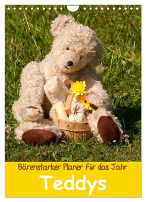 Bärenstarker Planer für das Jahr – Teddys (Wandkalender 2024 DIN A4 hoch), CALVENDO Monatskalender von Bölts,  Meike