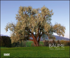 Bäume 2020 – Wandkalender 58,4 x 48,5 cm – Spiralbindung von DUMONT Kalenderverlag, Fotografen,  verschiedenen