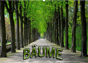 Bäume 2023 (Wandkalender 2023 DIN A2 quer) von Geduldig,  Bildagentur