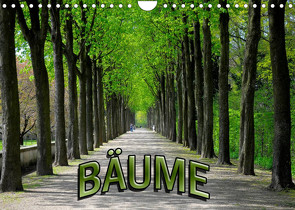 Bäume 2023 (Wandkalender 2023 DIN A4 quer) von Geduldig,  Bildagentur