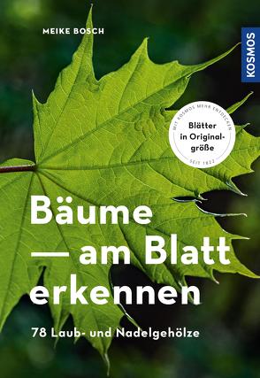 Bäume am Blatt erkennen von Bosch,  Meike