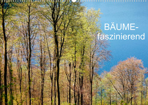 Bäume-faszinierend (Wandkalender 2022 DIN A2 quer) von Jaeger,  Thomas