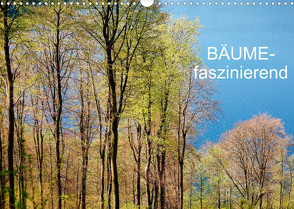 Bäume-faszinierend (Wandkalender 2022 DIN A3 quer) von Jaeger,  Thomas