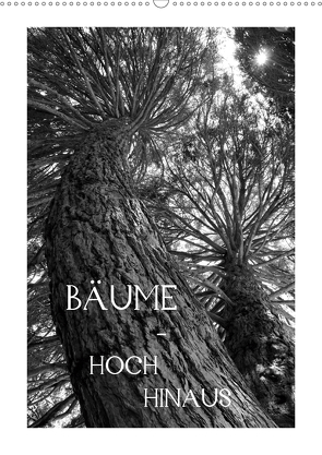 Bäume – hoch hinaus (Wandkalender 2021 DIN A2 hoch) von Albilt,  Rabea