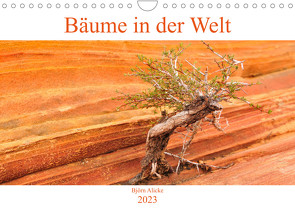 Bäume in der Welt (Wandkalender 2023 DIN A4 quer) von Alicke,  Björn