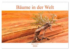 Bäume in der Welt (Wandkalender 2024 DIN A2 quer), CALVENDO Monatskalender von Alicke,  Björn