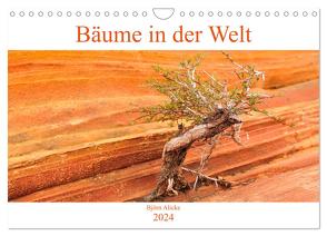 Bäume in der Welt (Wandkalender 2024 DIN A4 quer), CALVENDO Monatskalender von Alicke,  Björn