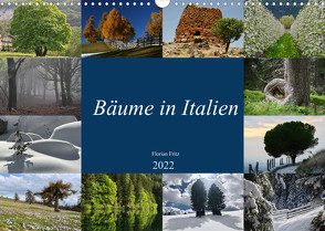 Bäume in Italien (Wandkalender 2022 DIN A3 quer) von Fritz,  Florian