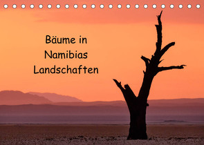 Bäume in Namibias Landschaften (Tischkalender 2022 DIN A5 quer) von Berger,  Anne