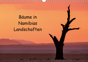 Bäume in Namibias Landschaften (Wandkalender 2021 DIN A3 quer) von Berger,  Anne