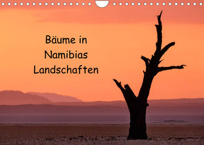 Bäume in Namibias Landschaften (Wandkalender 2022 DIN A4 quer) von Berger,  Anne