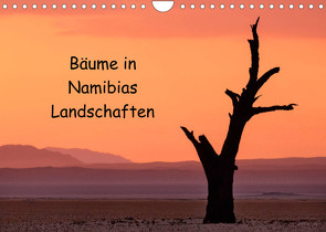 Bäume in Namibias Landschaften (Wandkalender 2023 DIN A4 quer) von Berger,  Anne