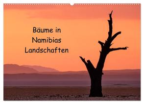 Bäume in Namibias Landschaften (Wandkalender 2024 DIN A2 quer), CALVENDO Monatskalender von Berger,  Anne