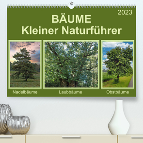 Bäume Kleiner Naturführer (Premium, hochwertiger DIN A2 Wandkalender 2023, Kunstdruck in Hochglanz) von Kleemann,  Claudia