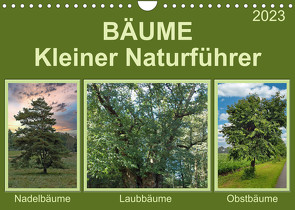 Bäume Kleiner Naturführer (Wandkalender 2023 DIN A4 quer) von Kleemann,  Claudia