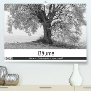 Bäume – Naturschönheiten in schwarz-weiß (Premium, hochwertiger DIN A2 Wandkalender 2022, Kunstdruck in Hochglanz) von Beuck,  Angelika