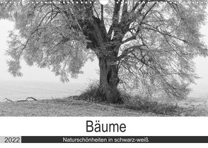 Bäume – Naturschönheiten in schwarz-weiß (Wandkalender 2022 DIN A3 quer) von Beuck,  Angelika