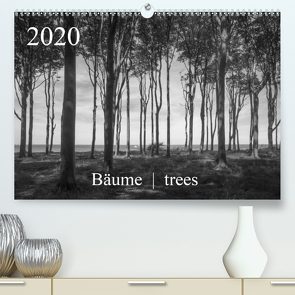 Bäume trees 2020 (Premium, hochwertiger DIN A2 Wandkalender 2020, Kunstdruck in Hochglanz) von Zieschang,  Michael