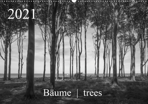 Bäume trees 2021 (Wandkalender 2021 DIN A2 quer) von Zieschang,  Michael