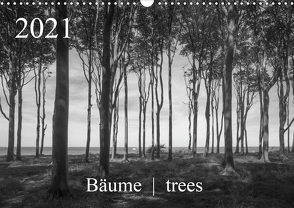 Bäume trees 2021 (Wandkalender 2021 DIN A3 quer) von Zieschang,  Michael