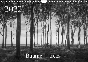 Bäume trees 2022 (Wandkalender 2022 DIN A4 quer) von Zieschang,  Michael