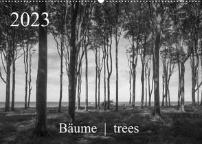 Bäume trees 2023 (Wandkalender 2023 DIN A2 quer) von Zieschang,  Michael