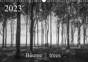 Bäume trees 2023 (Wandkalender 2023 DIN A3 quer) von Zieschang,  Michael