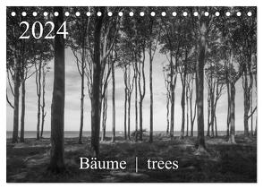 Bäume trees 2024 (Tischkalender 2024 DIN A5 quer), CALVENDO Monatskalender von Zieschang,  Michael