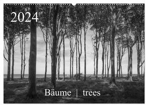 Bäume trees 2024 (Wandkalender 2024 DIN A2 quer), CALVENDO Monatskalender von Zieschang,  Michael