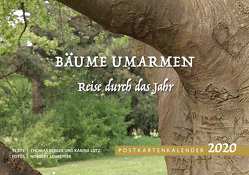 Bäume umarmen. Reise durch das Jahr von Berger,  Thomas, Lotz,  Karina, Schrepfer,  Norbert