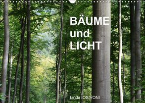 BÄUME und LICHT (Wandkalender 2019 DIN A3 quer) von IOSIVONI,  Linda