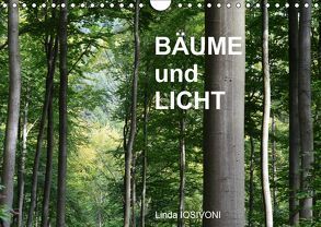 BÄUME und LICHT (Wandkalender 2019 DIN A4 quer) von IOSIVONI,  Linda