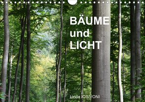 BÄUME und LICHT (Wandkalender 2020 DIN A4 quer) von IOSIVONI,  Linda