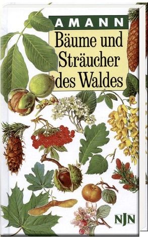 Bäume und Sträucher des Waldes von Amann,  Gottfried