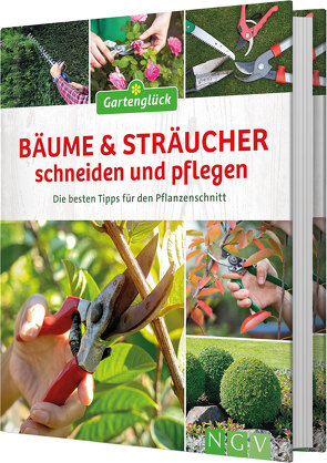 Bäume und Sträucher schneiden und pflegen